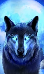 Dark Wolf