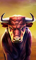 Black Bull